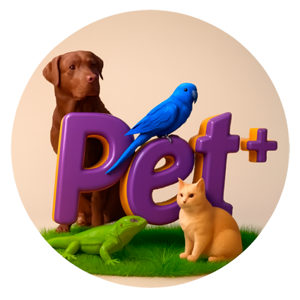 Acesso web indisponível